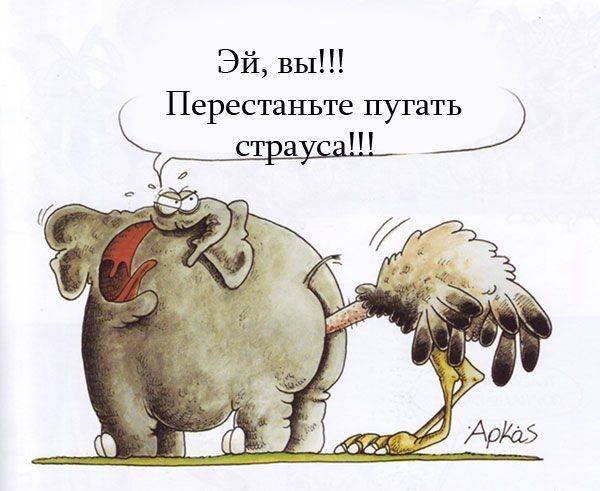 Страус голову в песок