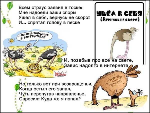 Страус прячет голову в песок