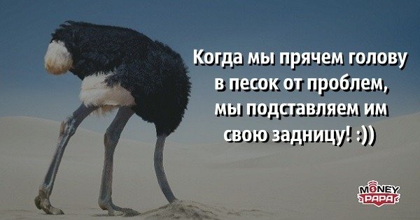 Страус из мультика