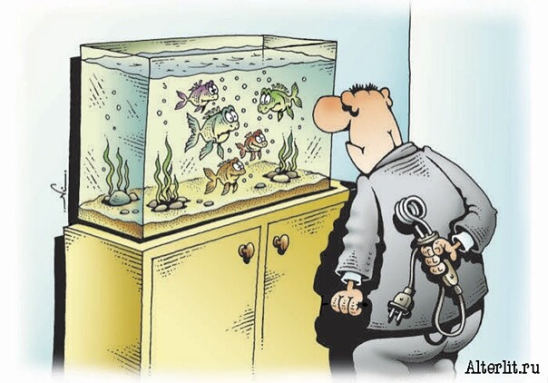 Приколы про аквариумных рыбок
