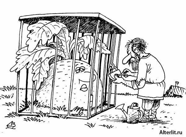 Репка в современной интерпретации