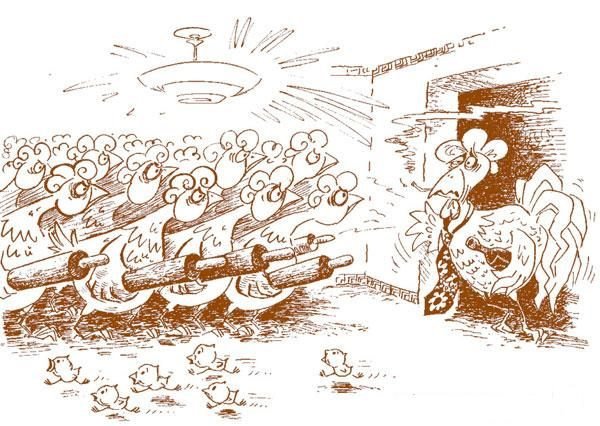 Курятник карикатура