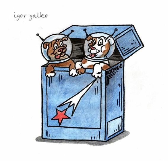 Карикатуры про белку и стрелку