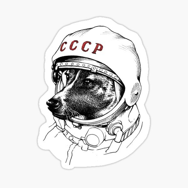 Белка и стрелка 1960