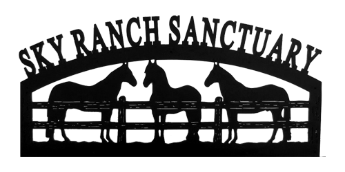 Вывеска ранчо