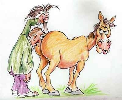 Рисунок лошади карикатурный