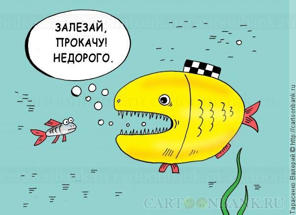 Анекдот про рыбку