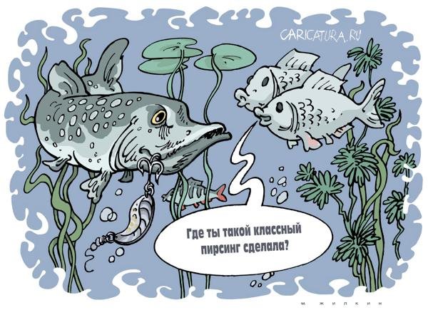 Рыбы нет карикатура