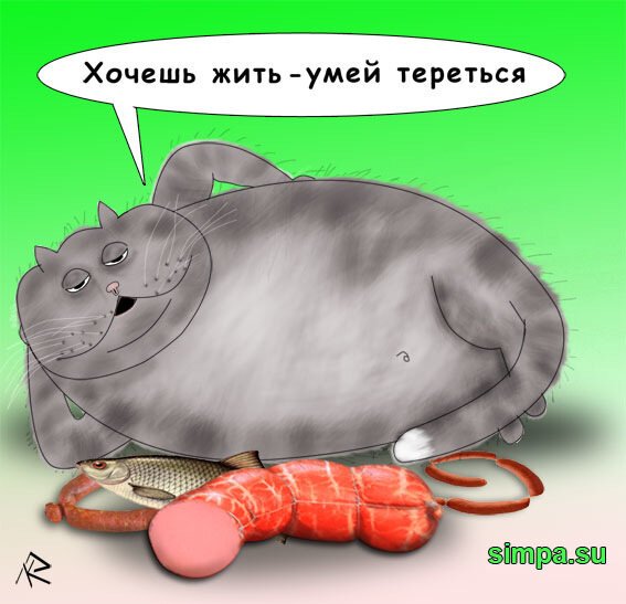 Хитрый кот карикатура
