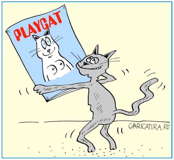 Мартовские коты карикатуры