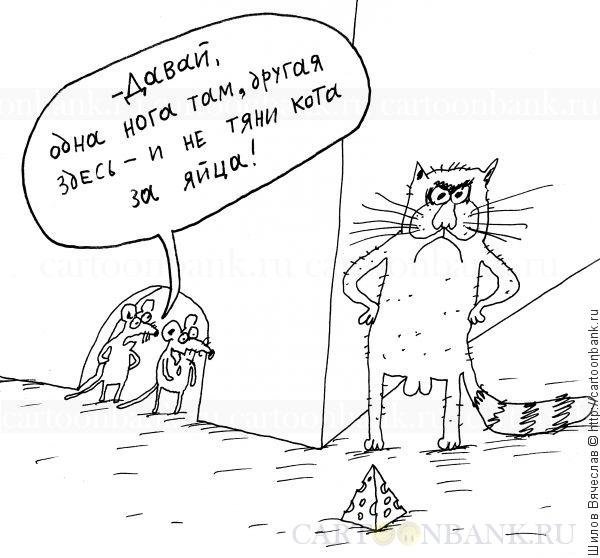 Карикатуры кот с мышкой