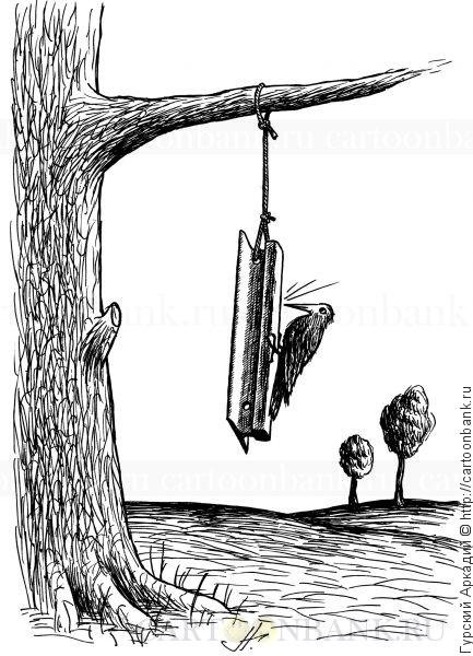 Смешной дятел