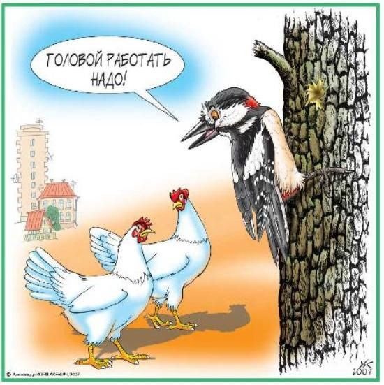 Дятел стукач