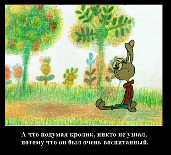 А что подумал кролик никто