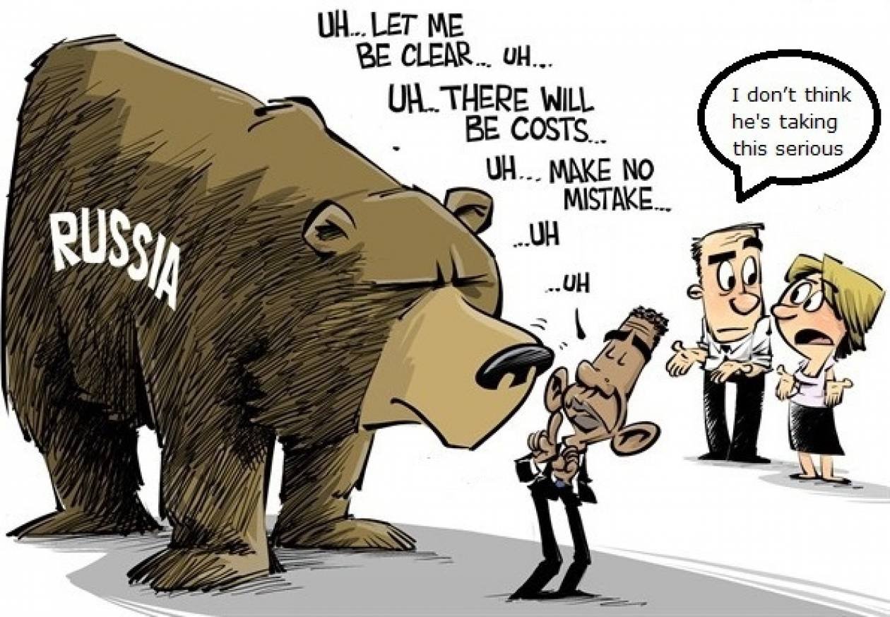 Медведь НАТО