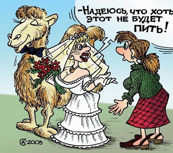 Женитьба карикатура