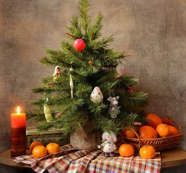 Новогодний натюрморт декоративный (48 фото)