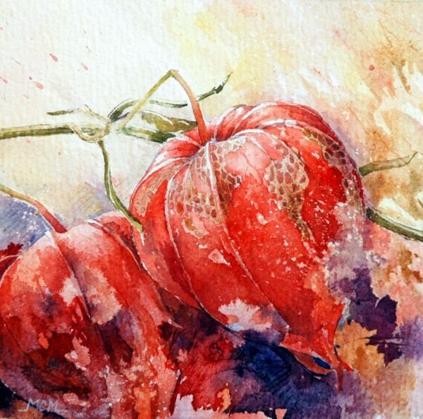 Физалис акварелью