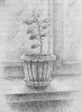 Рисование комнатные растения