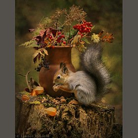 Натюрморт с белками