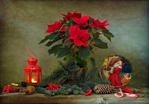 Новогодний натюрморт