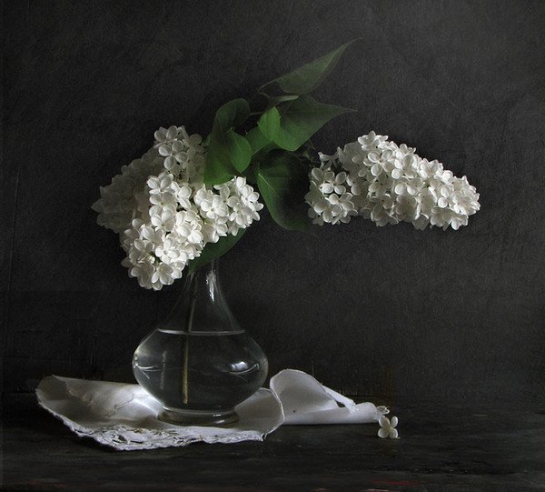 Натюрморты с белой сиренью