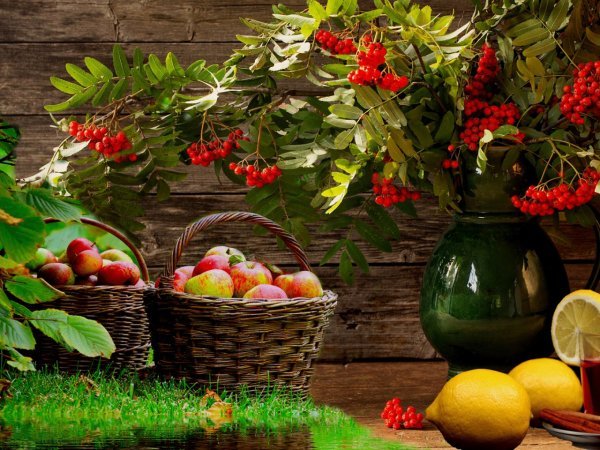 Летний натюрморт