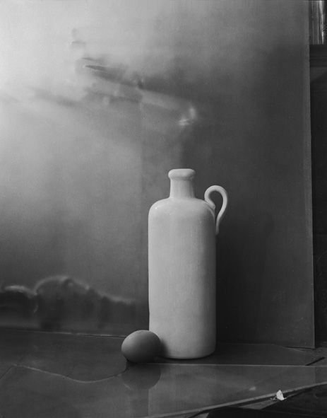 Йозеф Судек роза