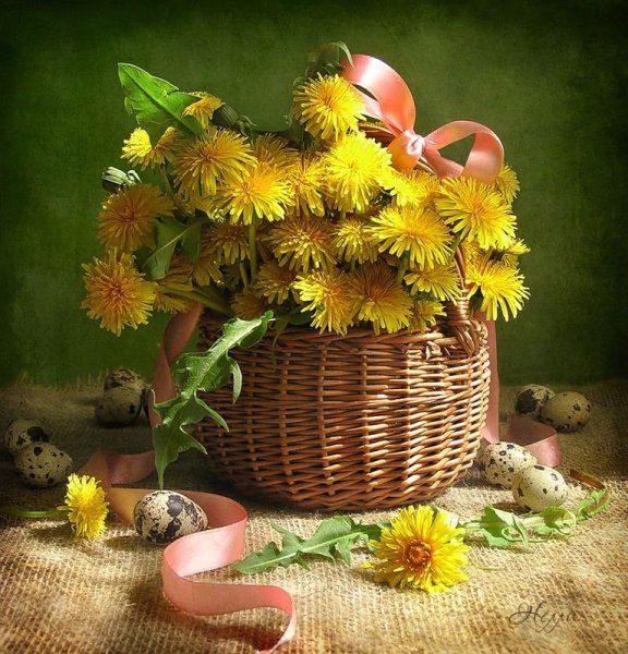 Пятничный натюрморт