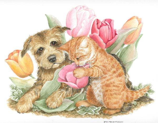 Рисунки с днём рождения с котенком и собачкой