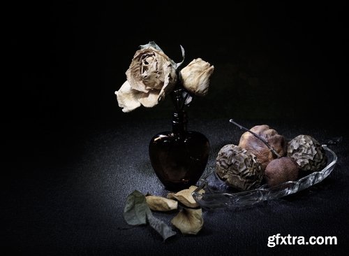 Paulette Tavormina натюрморт