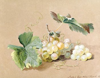 Федор Петрович толстой натюрморты