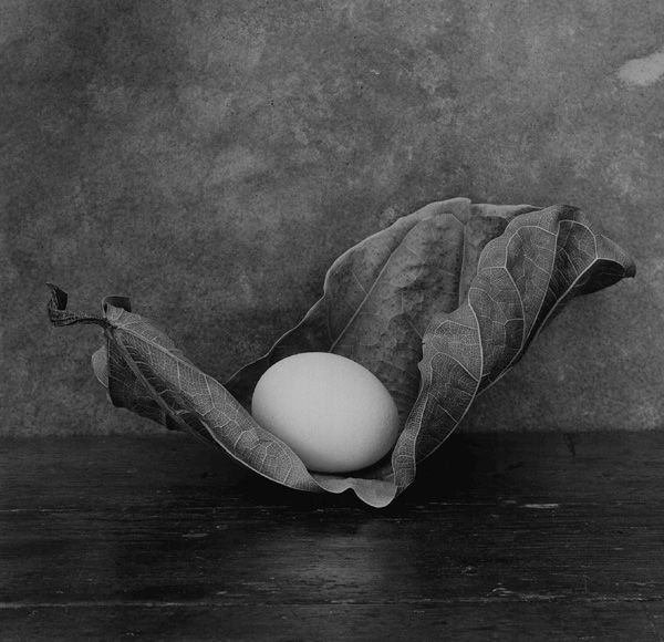 Минималистический натюрморт