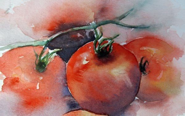 Этюды овощей и фруктов акварелью по сырому