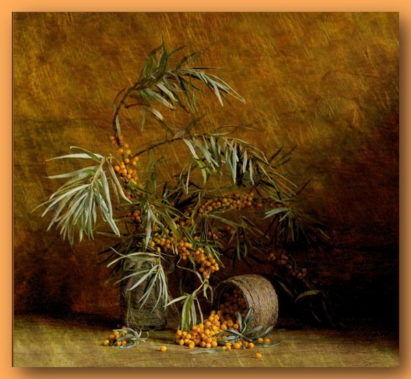 Натюрморт с облепихой