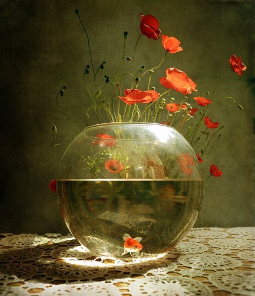 Натюрморт с рыбками в аквариуме