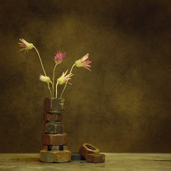 Необычный натюрморт