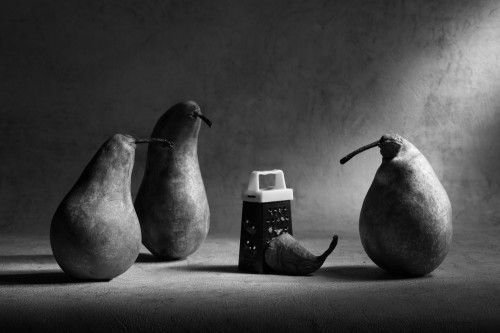 Груша Светотень