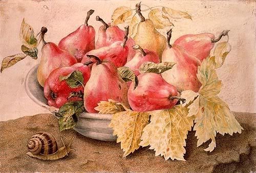 Джованна Гарцони инжир