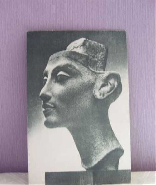 Натюрморт с нефертити (50 фото)