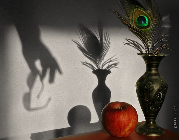 Предметная съемка натюрморт