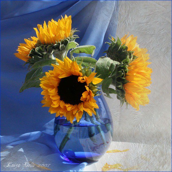Луиза Гельтс Подсолнухи