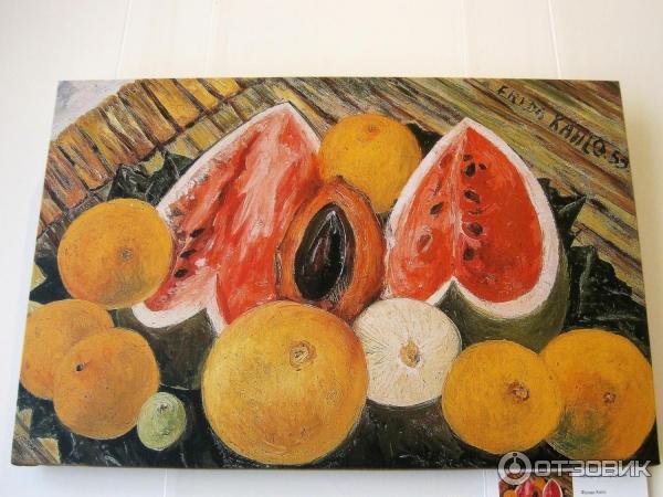 Натюрморт с попугаем Фрида