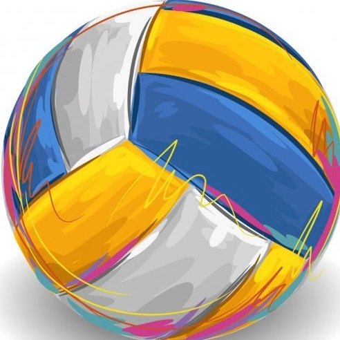 Волейбольный мяч Volleyball
