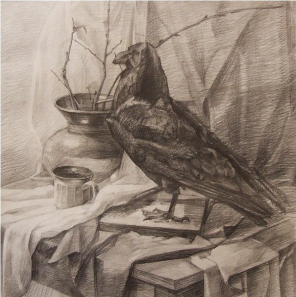 Ворона на ветке арт