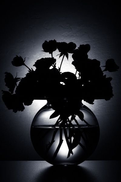 Натюрморт темные предметы на Светлом фоне