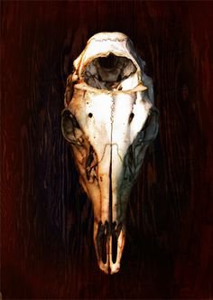 Натюрморт с черепом лошади (49 фото)