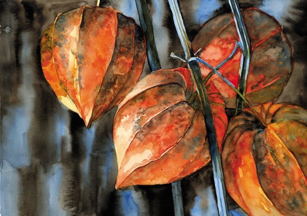 Осенний букет физалис рябина