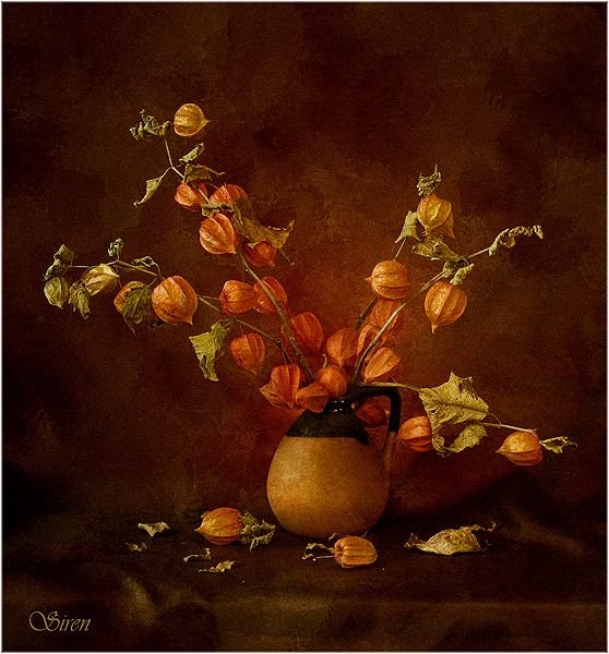 Шумакова Елена. Натюрморт с овощами и тыквой