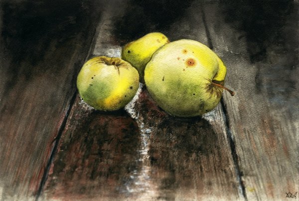 Айва и гранат